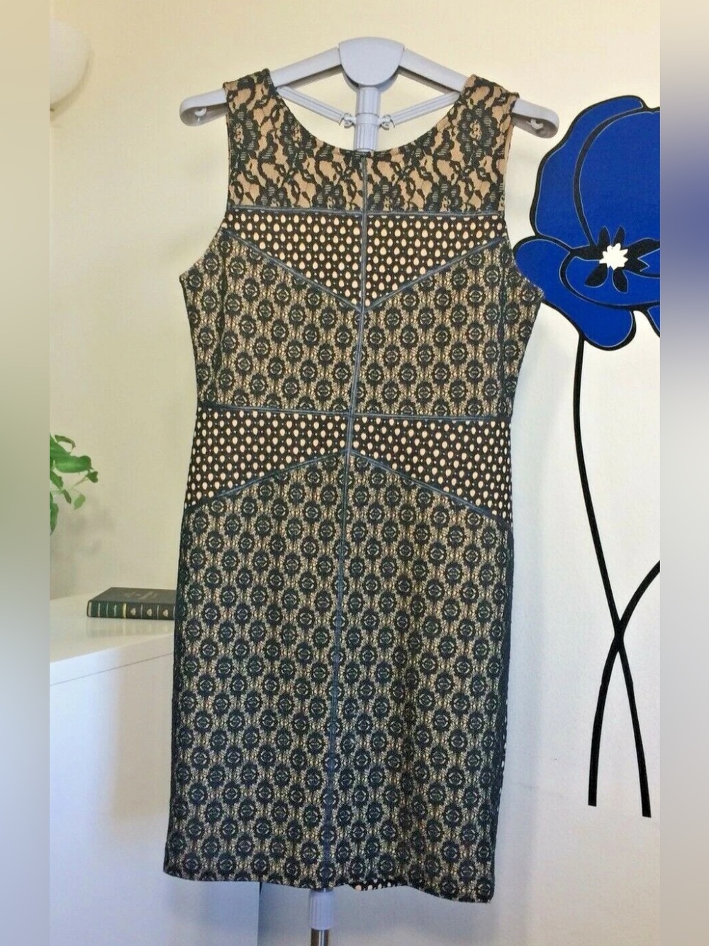Sleeveless Lace Sheath Dress in Black and Nude